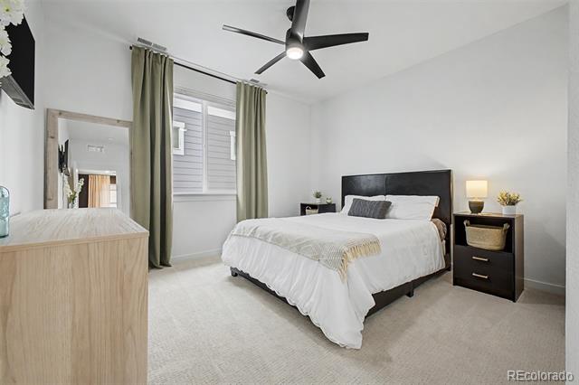 Image 24