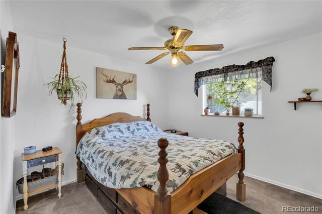 6326 Fenton Street Arvada CO 80003 | MLS #6130559 Image 10