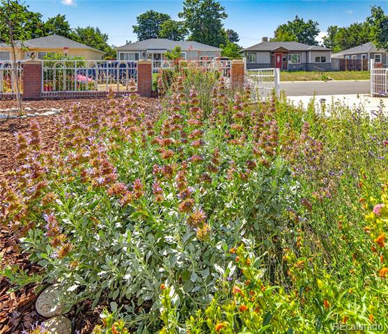 4574 Wyandot Street Denver CO 80211 | MLS #6198671 Image 22