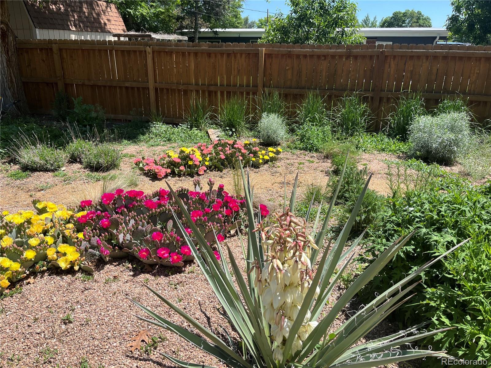 5910 Estes Court Arvada CO 80004 | MLS #6443254 Image 25