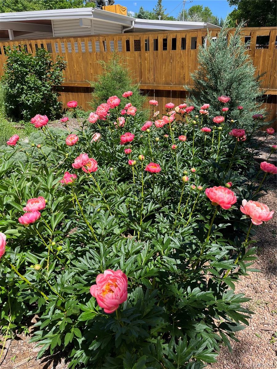 5910 Estes Court Arvada CO 80004 | MLS #6443254 Image 27