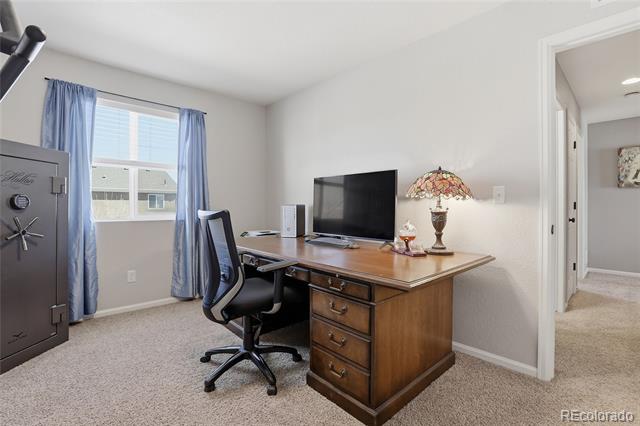 5548 Killarney Court Denver CO 80249 | MLS #6625521 Image 32