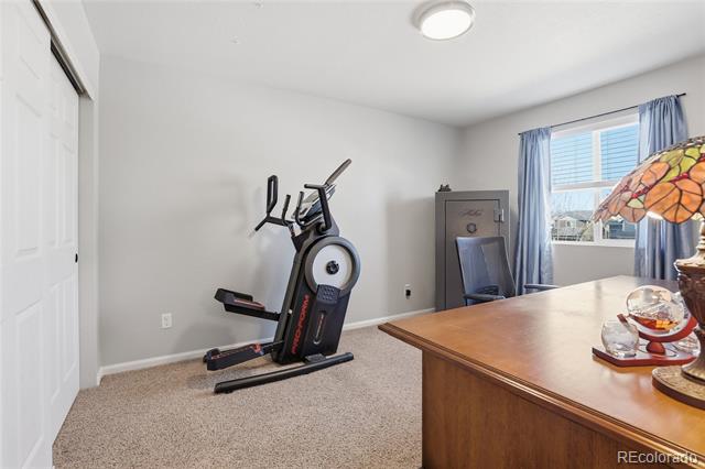 5548 Killarney Court Denver CO 80249 | MLS #6625521 Image 33