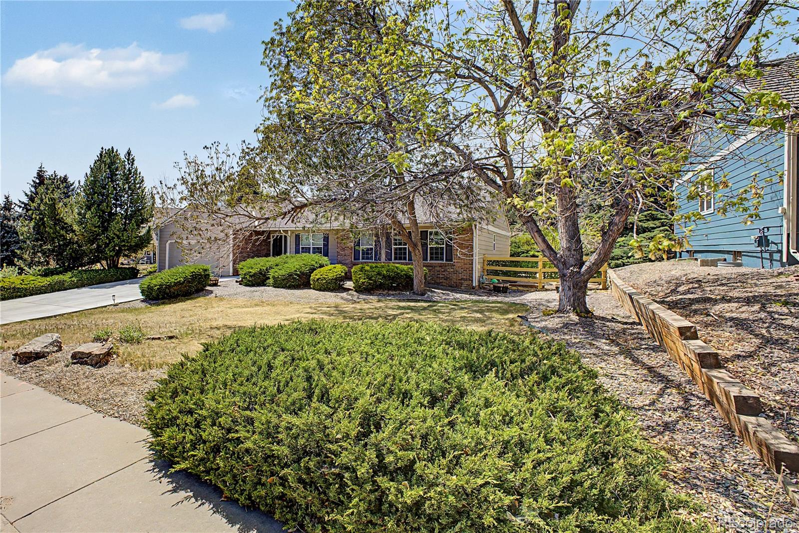 7831 Sangre De Cristo Littleton CO 80127 | MLS #6706407 Image 4