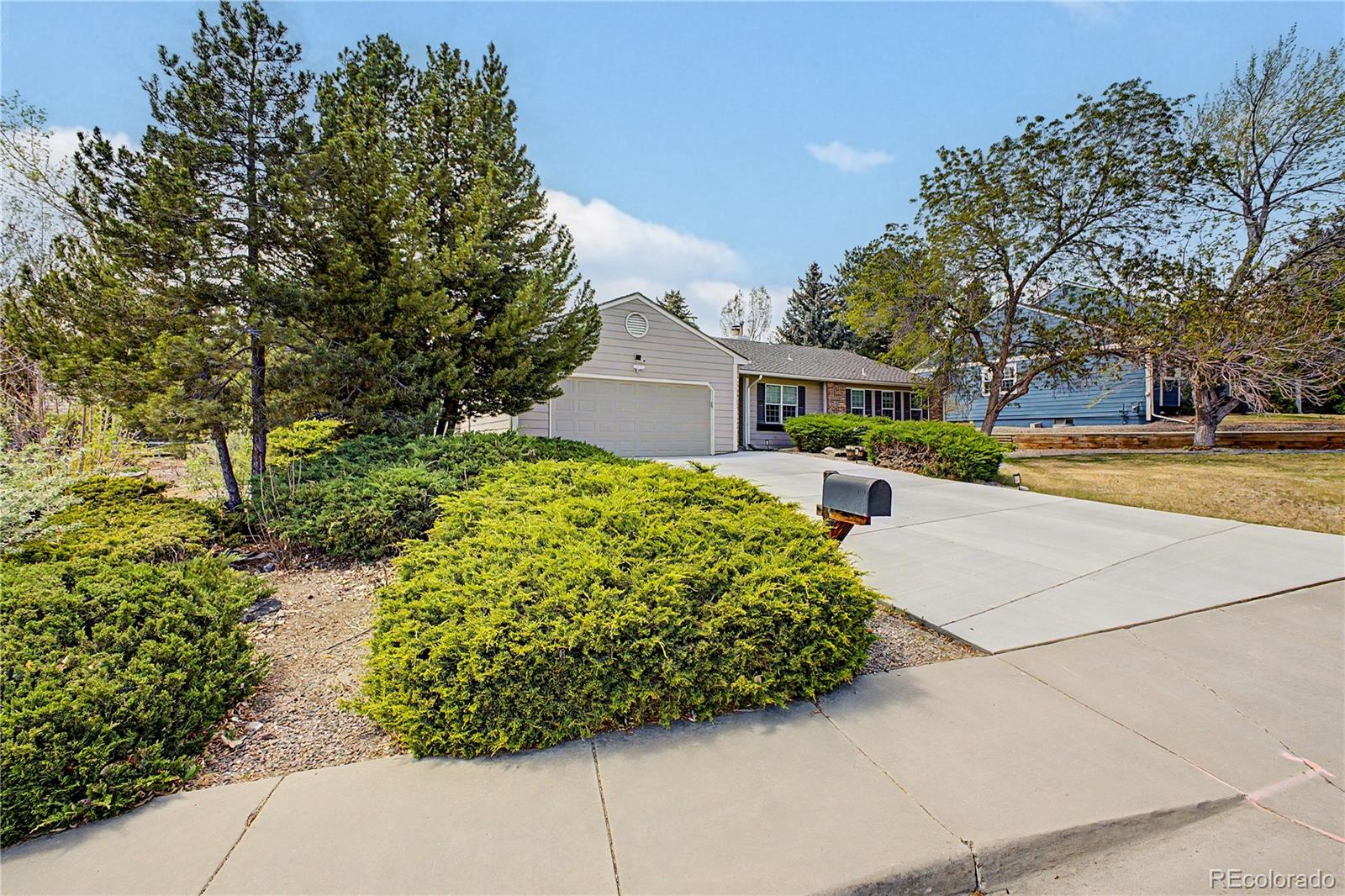 7831 Sangre De Cristo Littleton CO 80127 | MLS #6706407 Image 6
