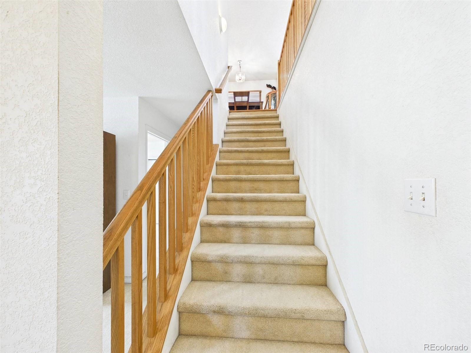 8250 Explorador Calle Denver CO 80229 | MLS #6833130 Image 19