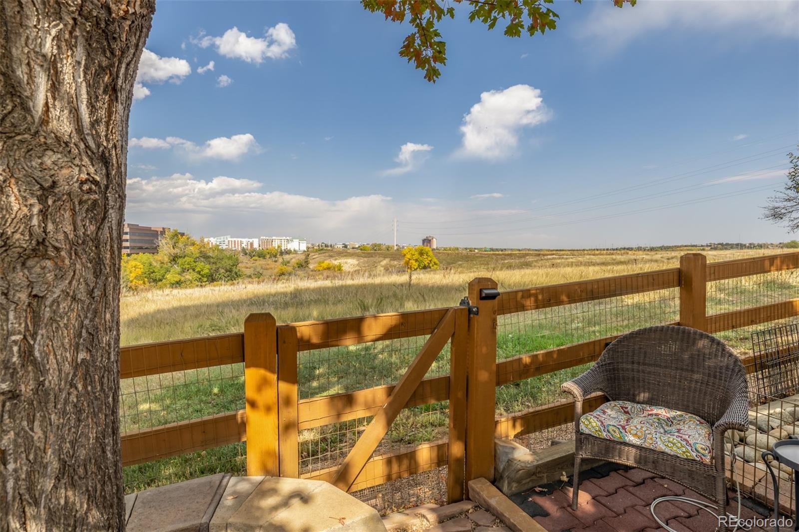 6781 W 99th Avenue Westminster CO 80021 | MLS #6942101 Image 40