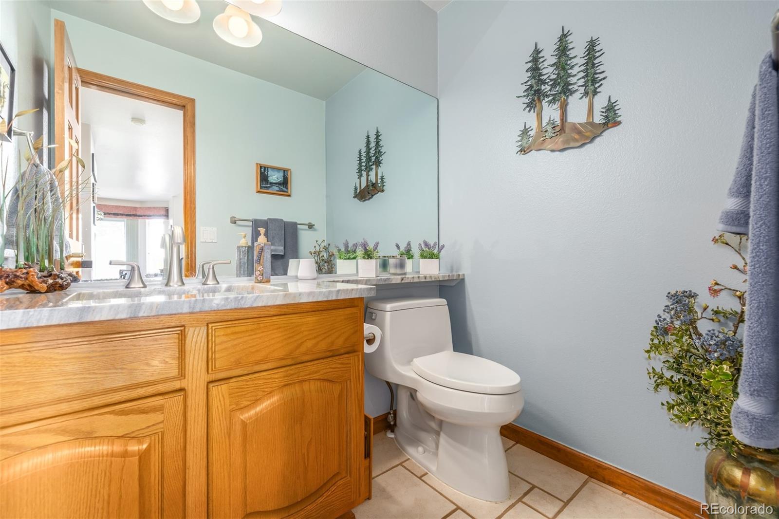 6781 W 99th Avenue Westminster CO 80021 | MLS #6942101 Image 9