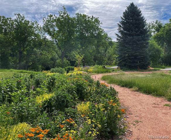 4714 Carr Street Wheat Ridge CO 80033 | MLS #7363680 Image 31