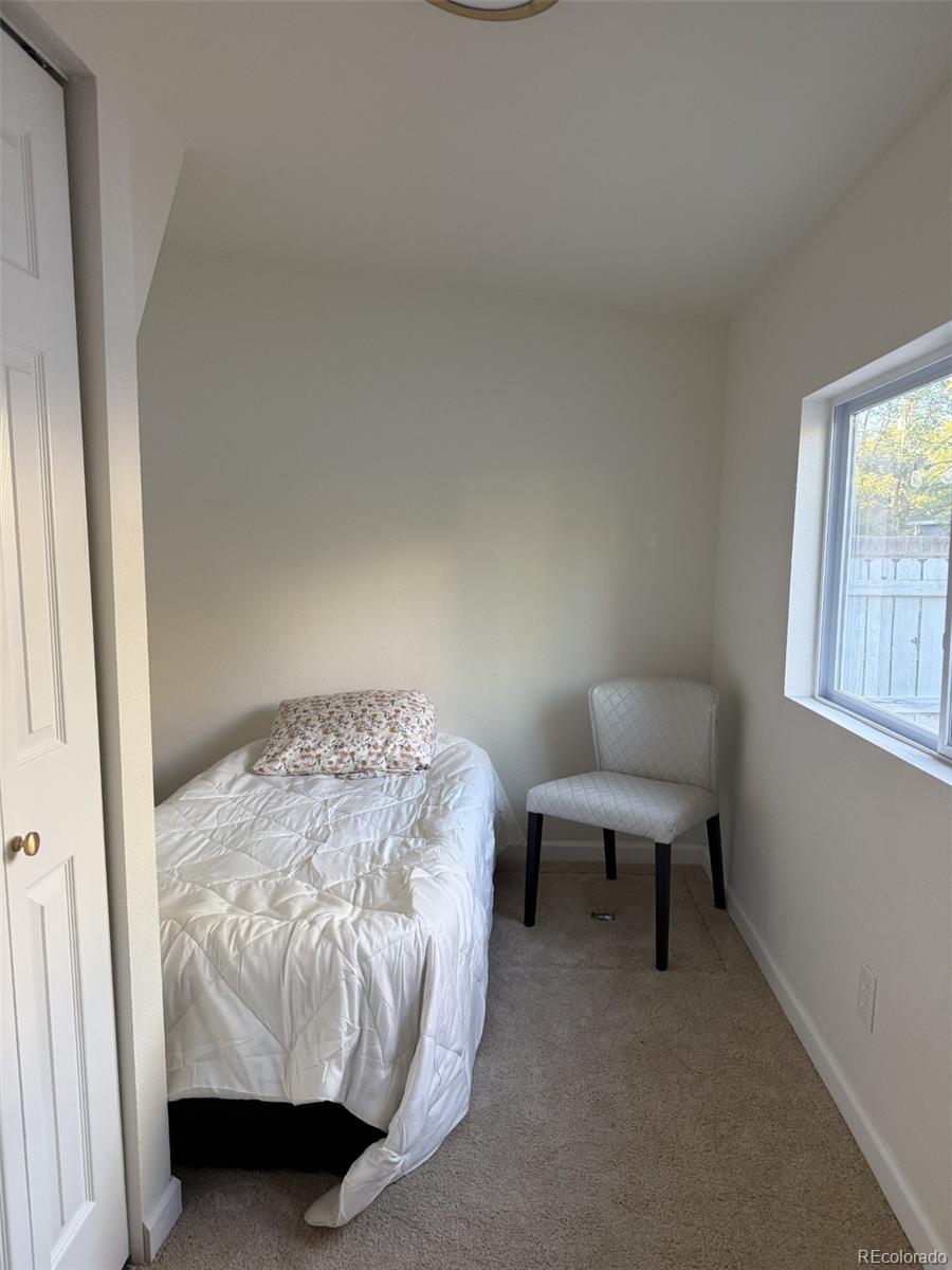 3783 N Franklin Street Denver CO 80205 | MLS #7384088 Image 21