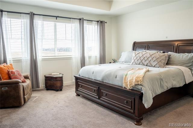 14450 Hudson Street Thornton CO 80602 | MLS #7563857 Image 24
