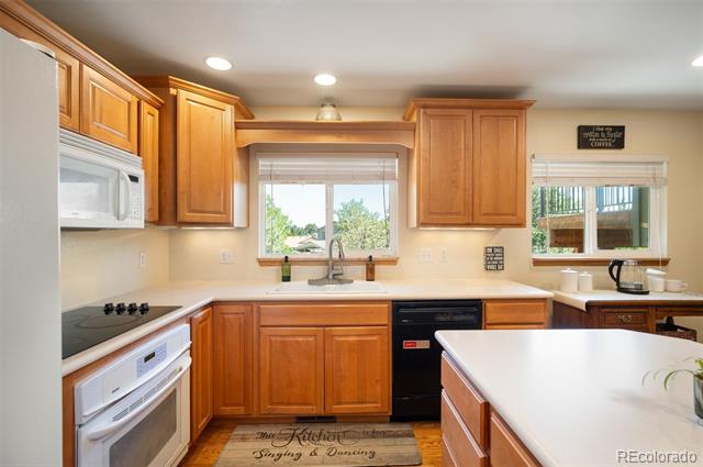 2220 S Beech Court Denver CO 80228 | MLS #7621132 Image 14