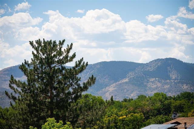 2220 S Beech Court Denver CO 80228 | MLS #7621132 Image 32