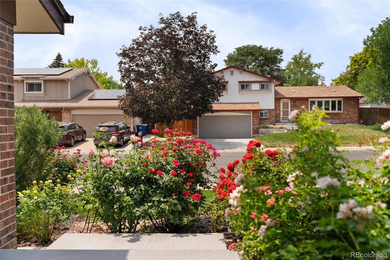 7350 Jay Street Arvada CO 80003 | MLS #7627050 Image 46
