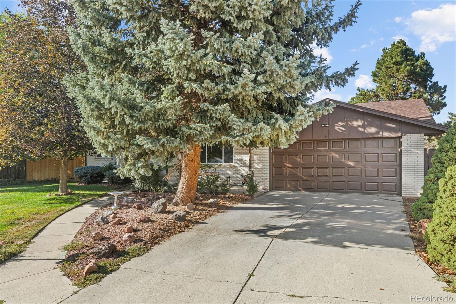 12081 W 36th Place Wheat Ridge CO 80033 | MLS #7805820 Image 2