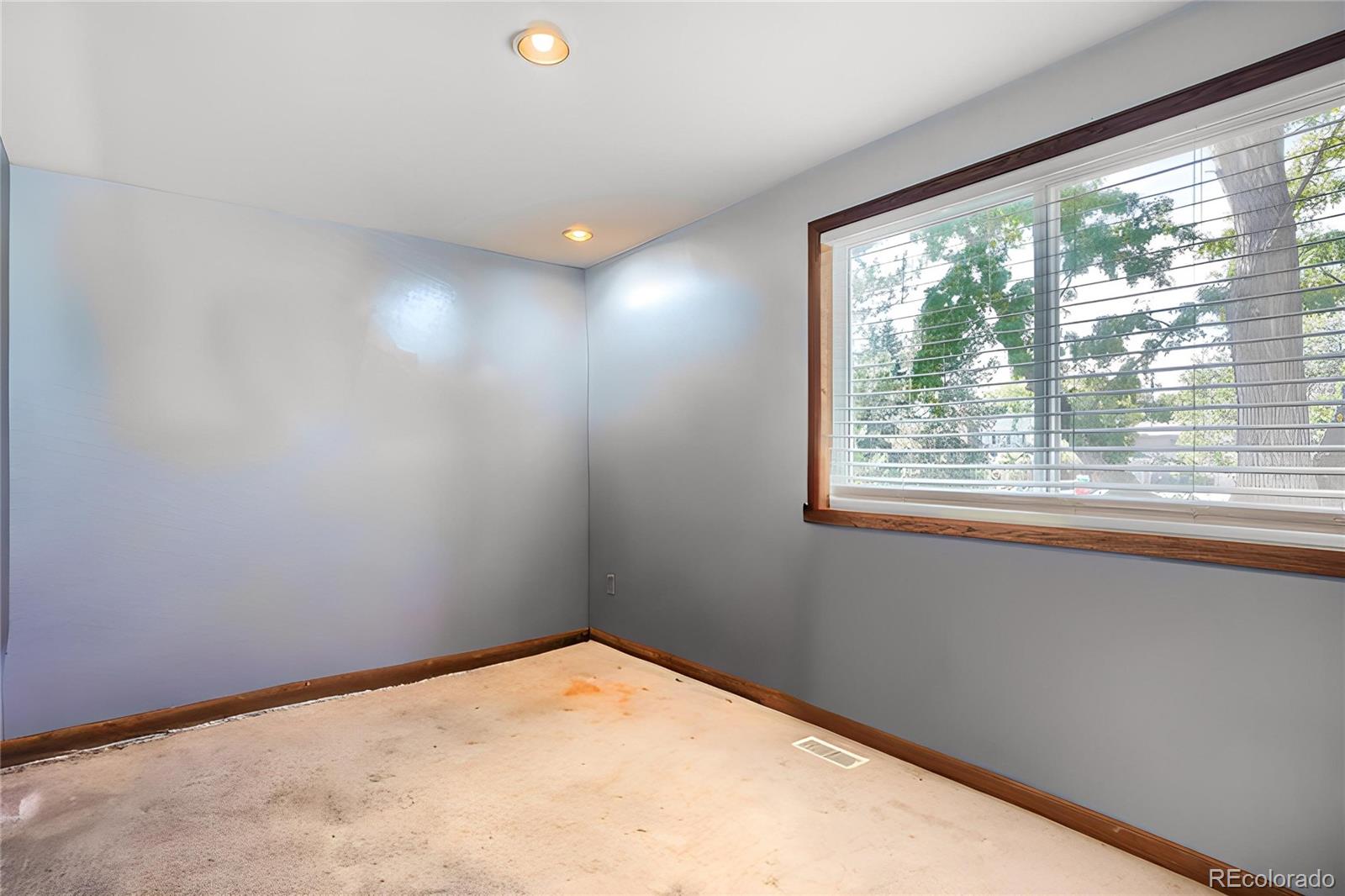 11512 Birch Street Thornton CO 80233 | MLS #7842450 Image 2