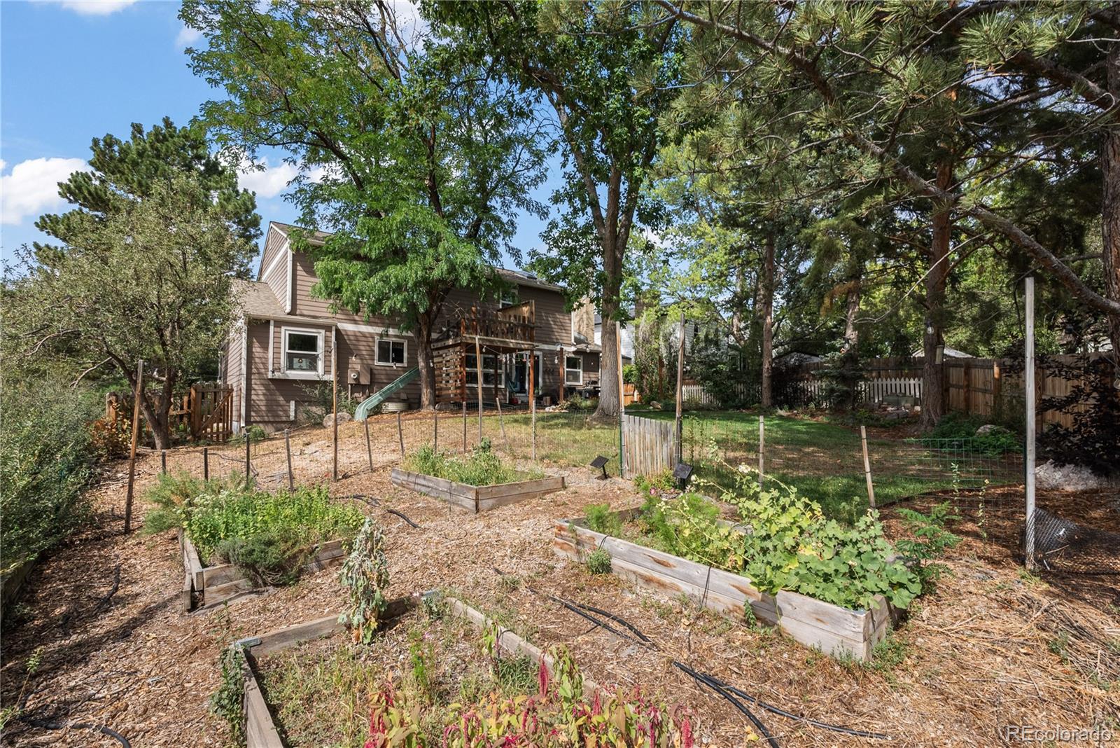 7376 S Miller Court Littleton CO 80127 | MLS #8731169 Image 38