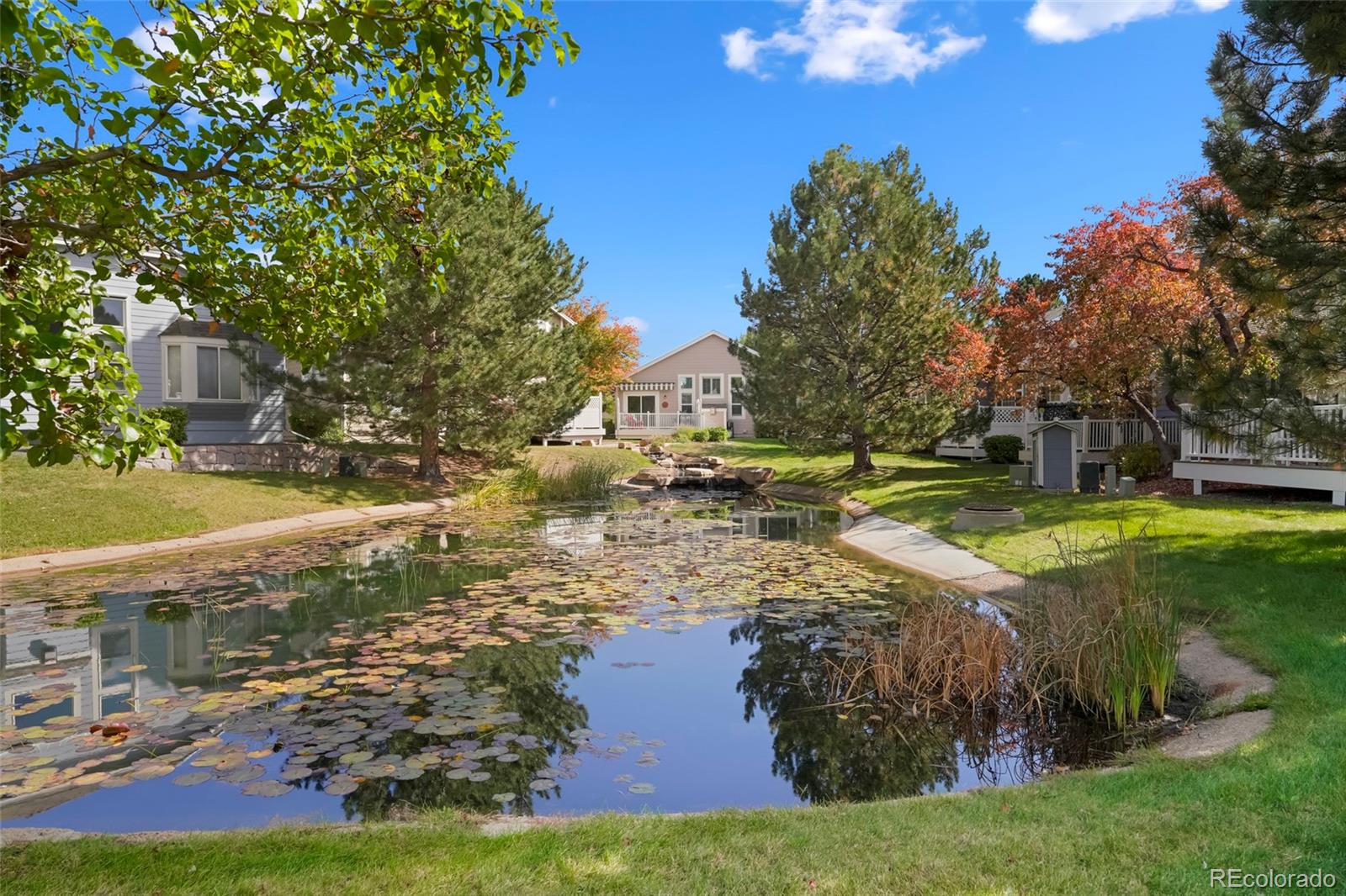 13679 W 62ND Arvada CO 80004 | MLS #8949629 Image 38