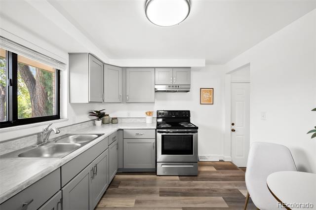 1035-1037 N Raleigh Street Denver CO 80204 | MLS #8995459 Image 7