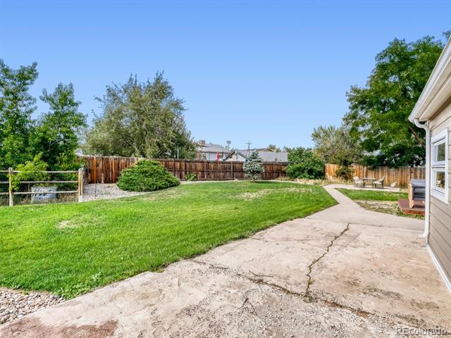 4653 S Yank Street Morrison CO 80465 | MLS #9674138 Image 31