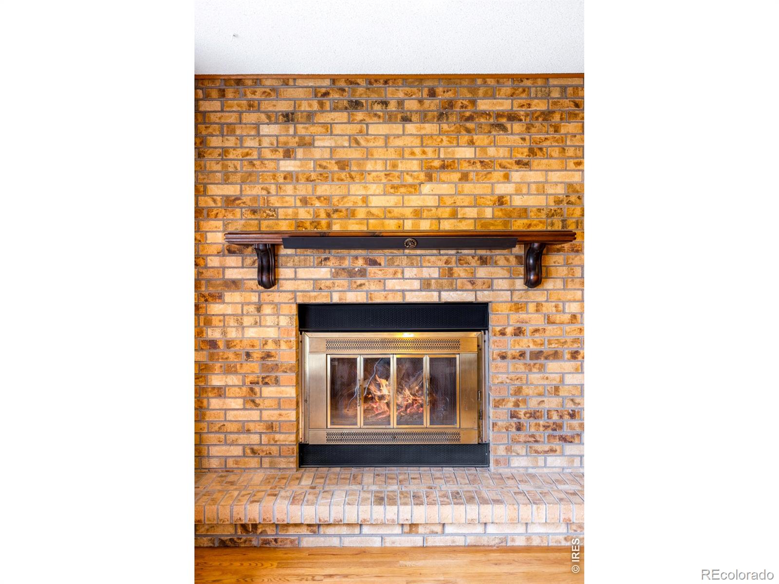 4601 Robb Street Wheat Ridge CO 80033 | MLS #IR1069259 Image 22