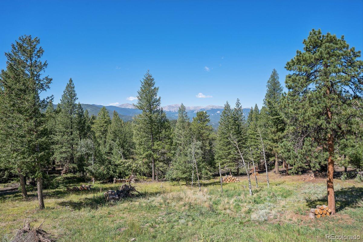 MLS #REC1956372 image #49