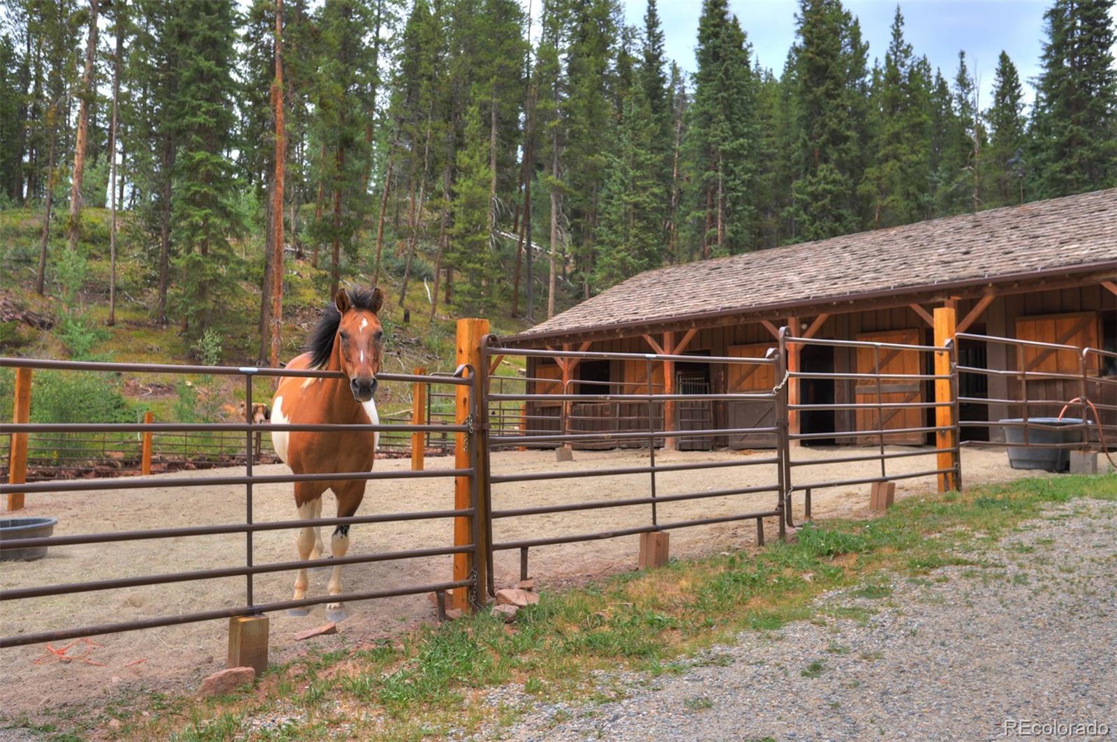 MLS #REC2037733 image #47