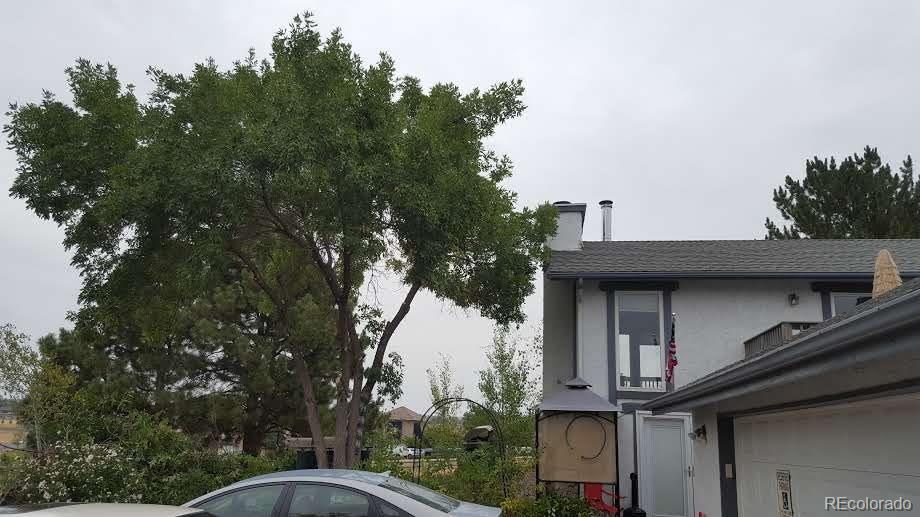 MLS #REC2146383 image #5