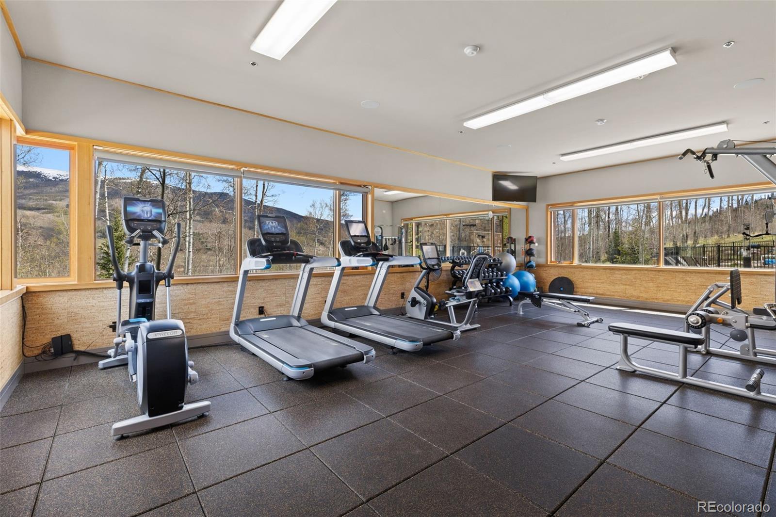 MLS #REC3010577 image #42