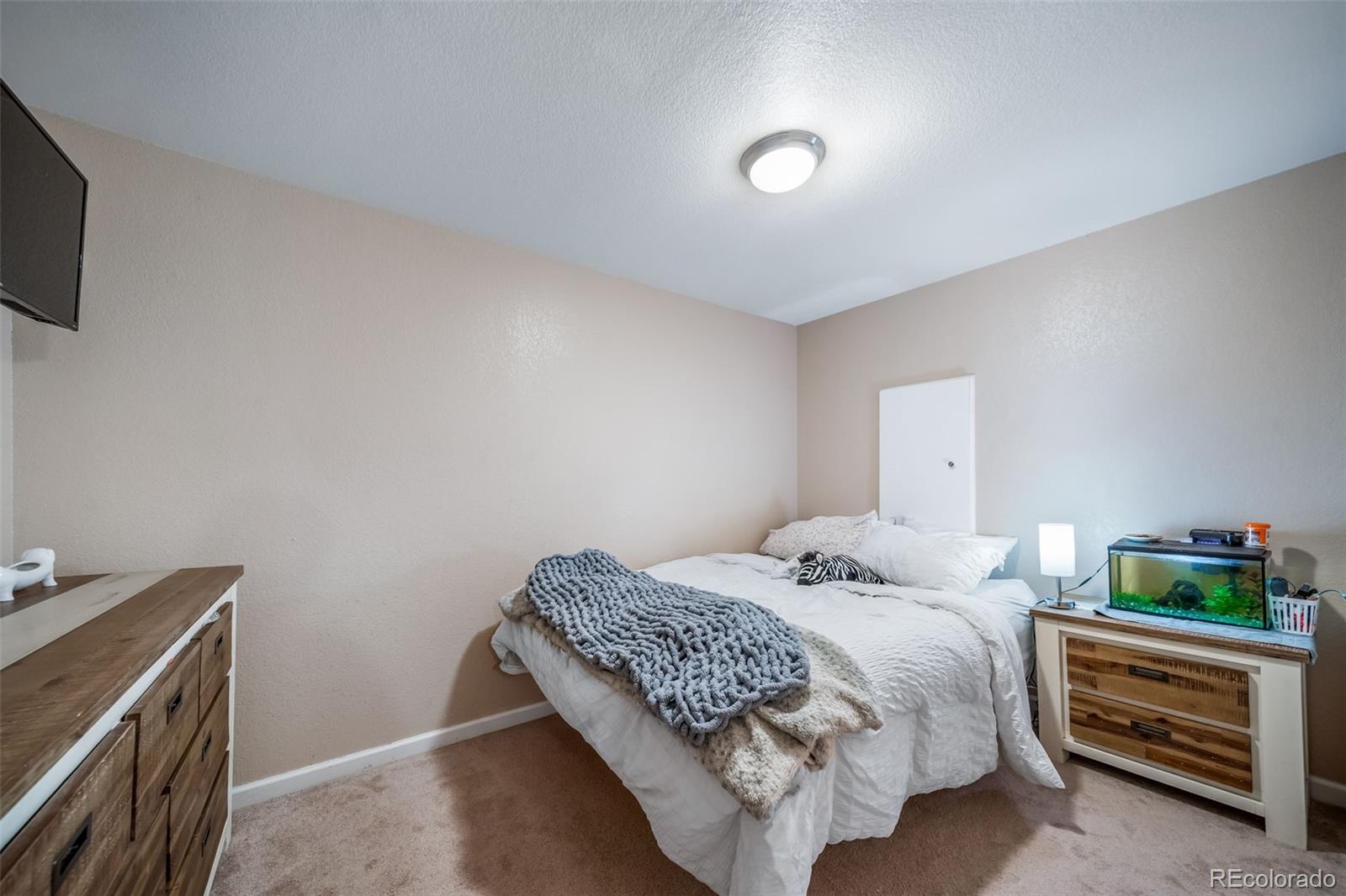 MLS #REC3012739 image #21