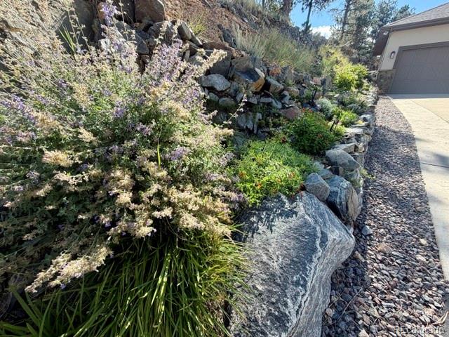MLS #REC3209017 image #49