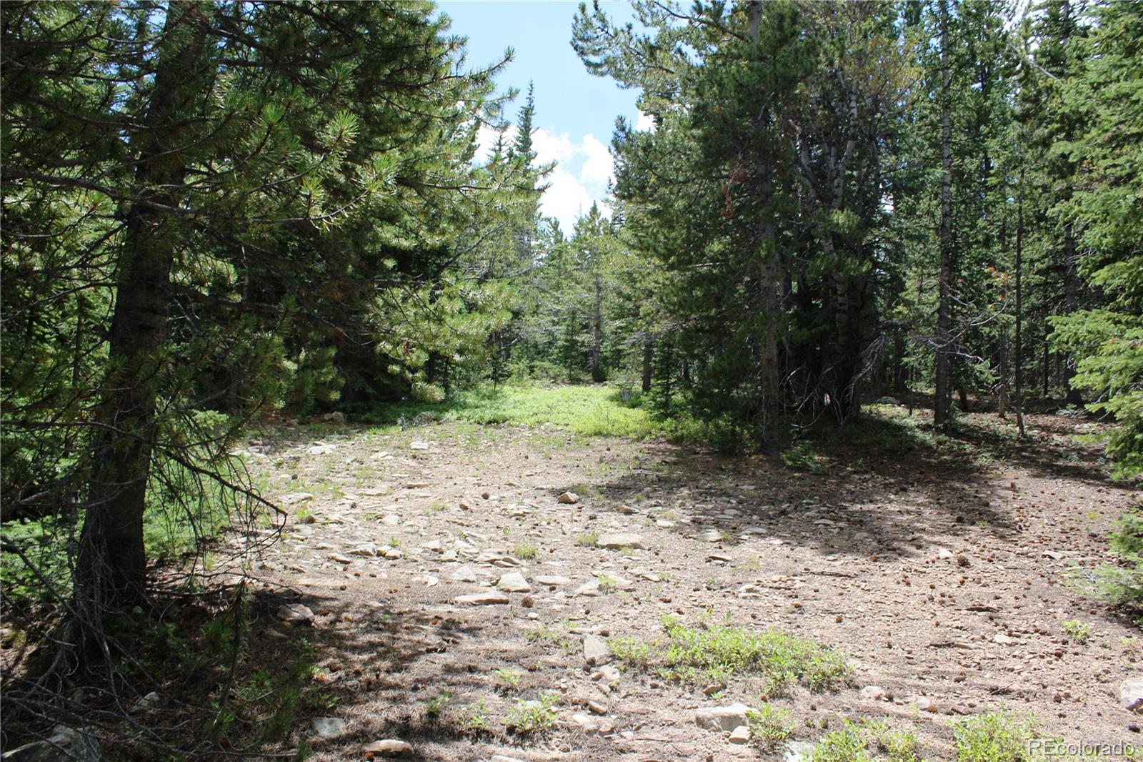 MLS #REC3371902 image #10