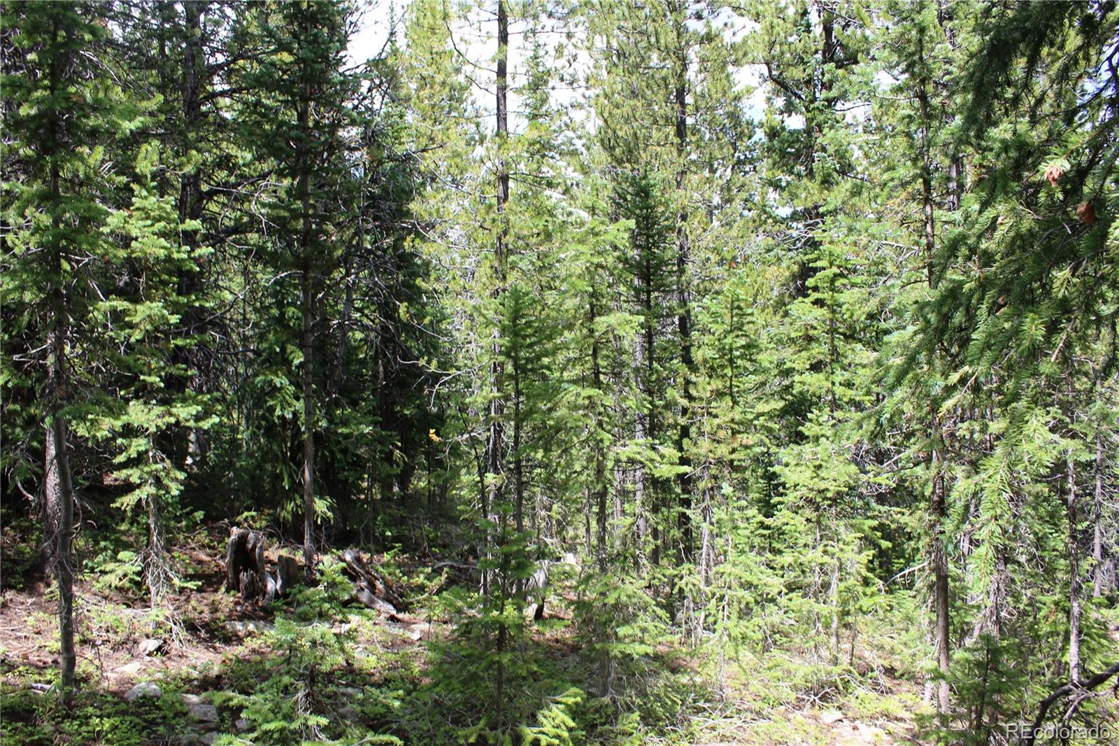 MLS #REC3371902 image #13