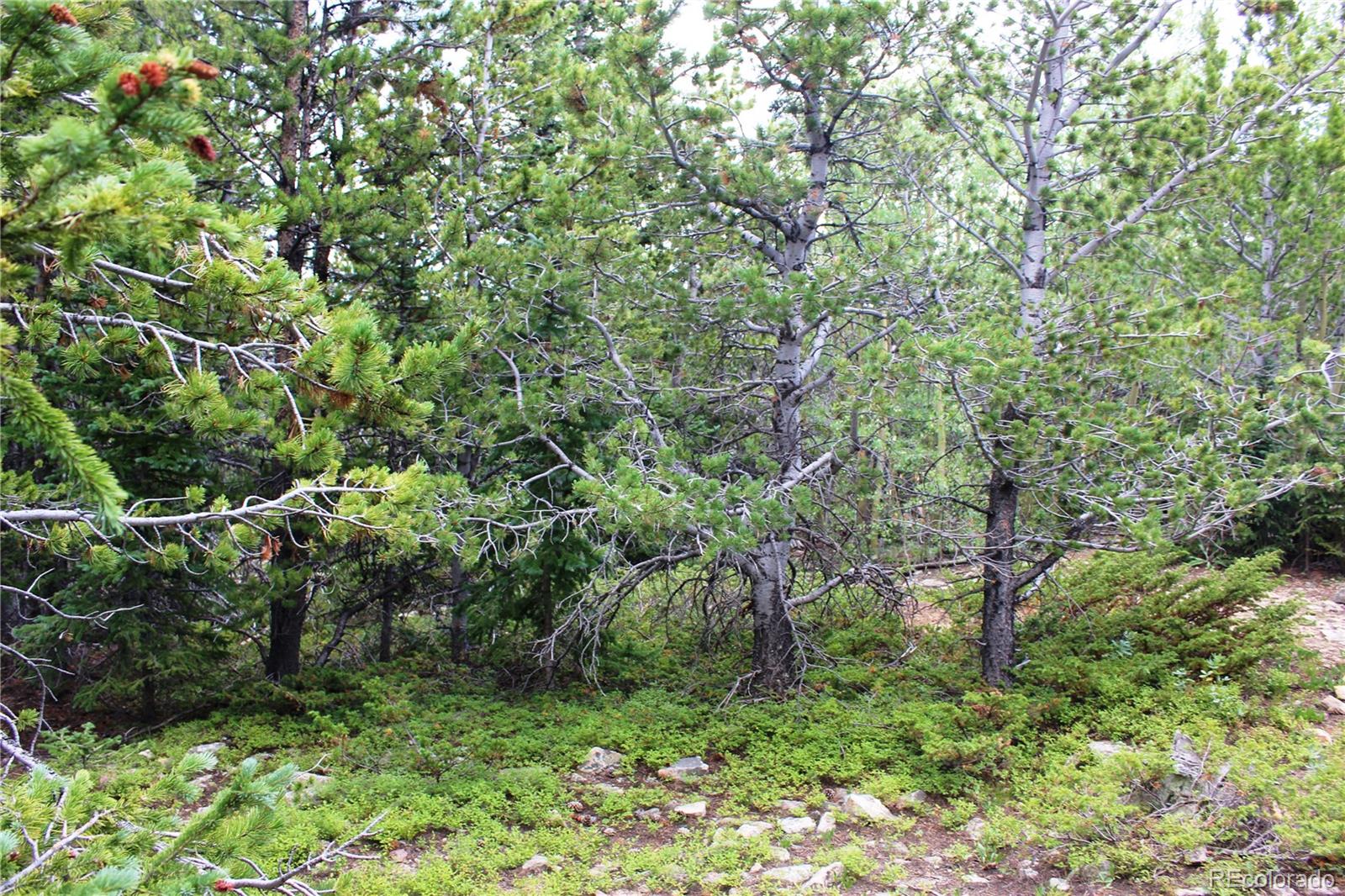 MLS #REC3371902 image #3