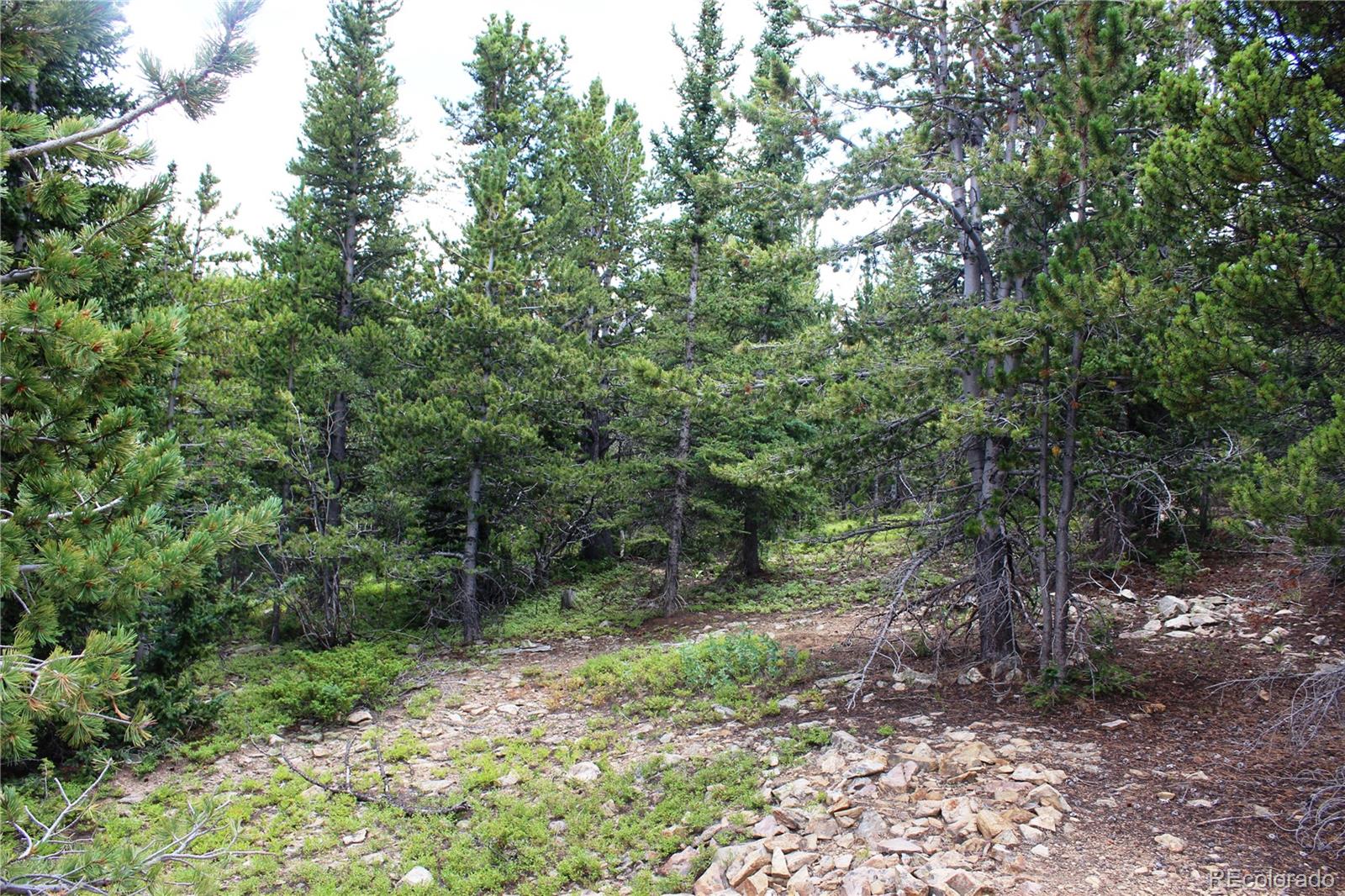 MLS #REC3371902 image #6