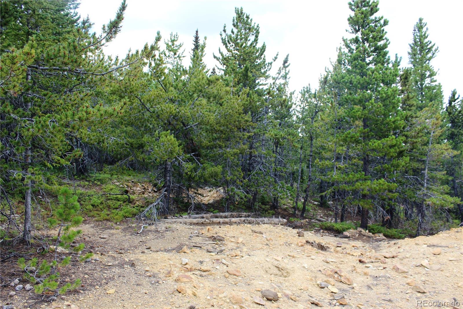 MLS #REC3371902 image #7