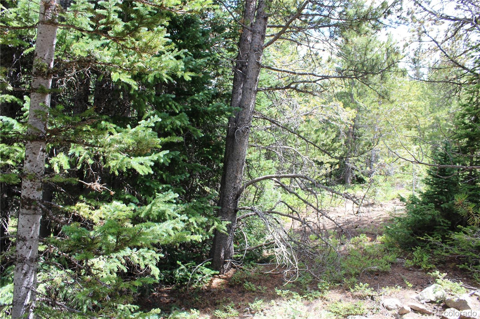 MLS #REC3371902 image #9