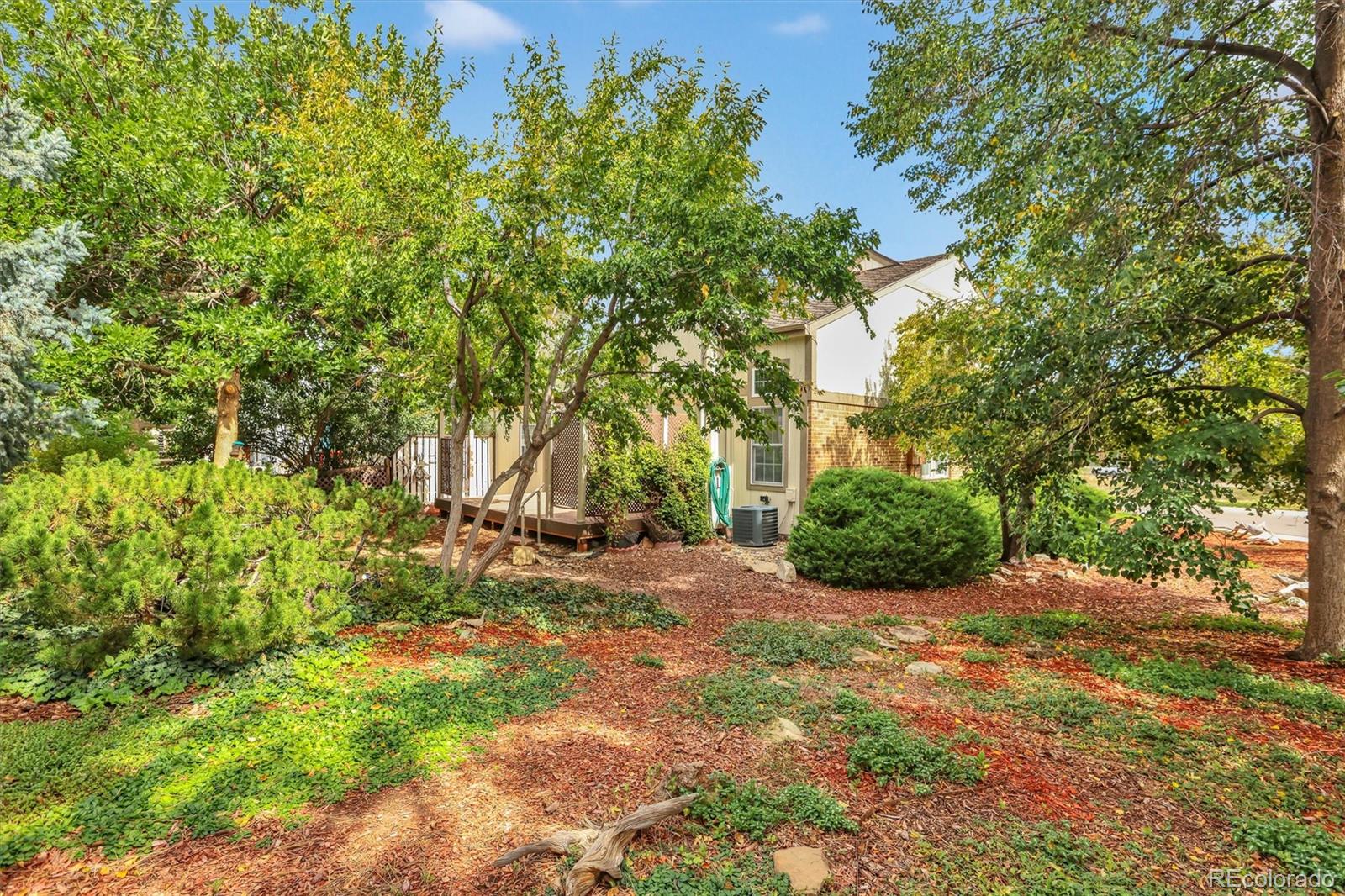 MLS #REC3499604 image #5