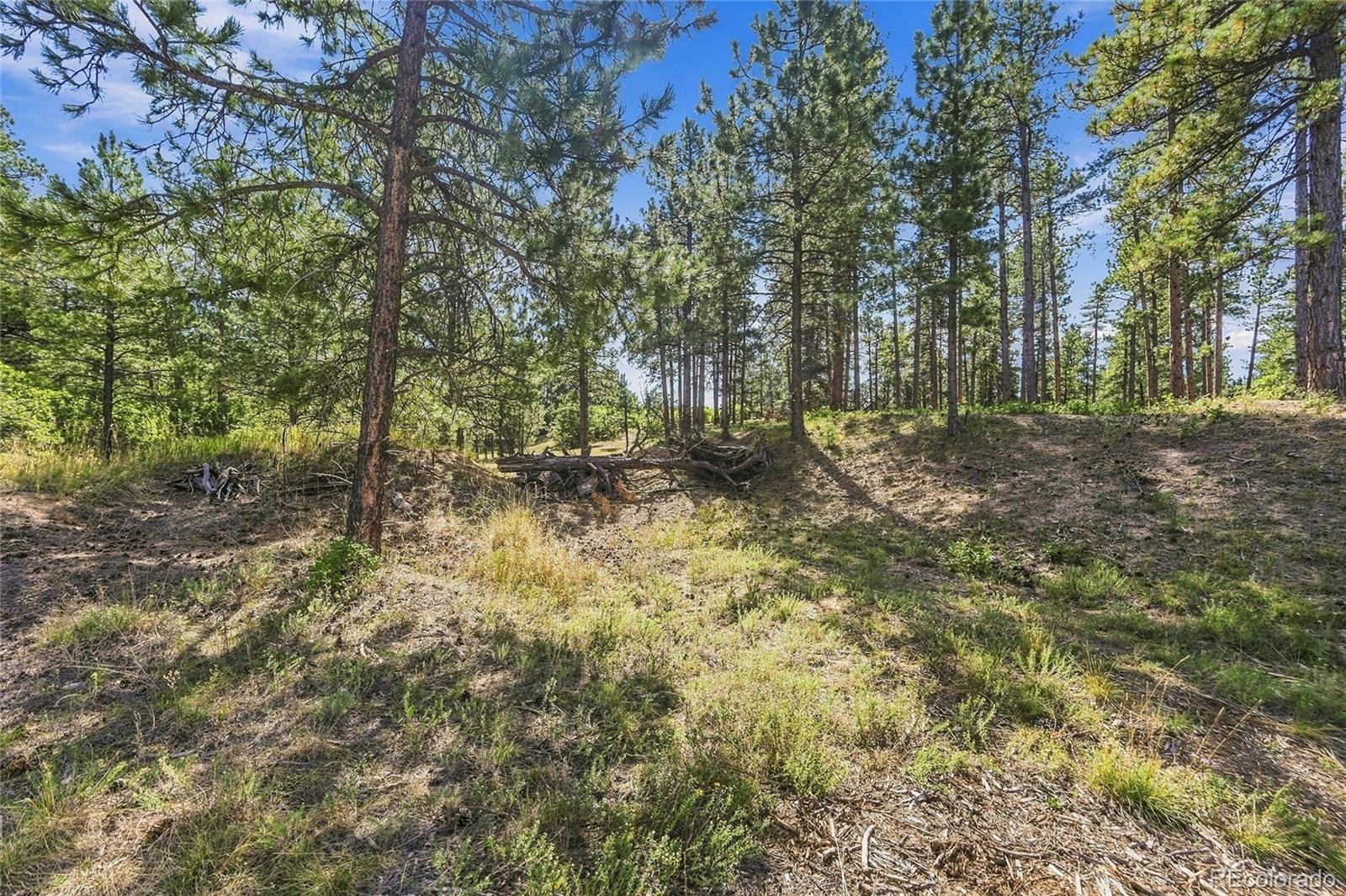 MLS #REC3604350 image #13