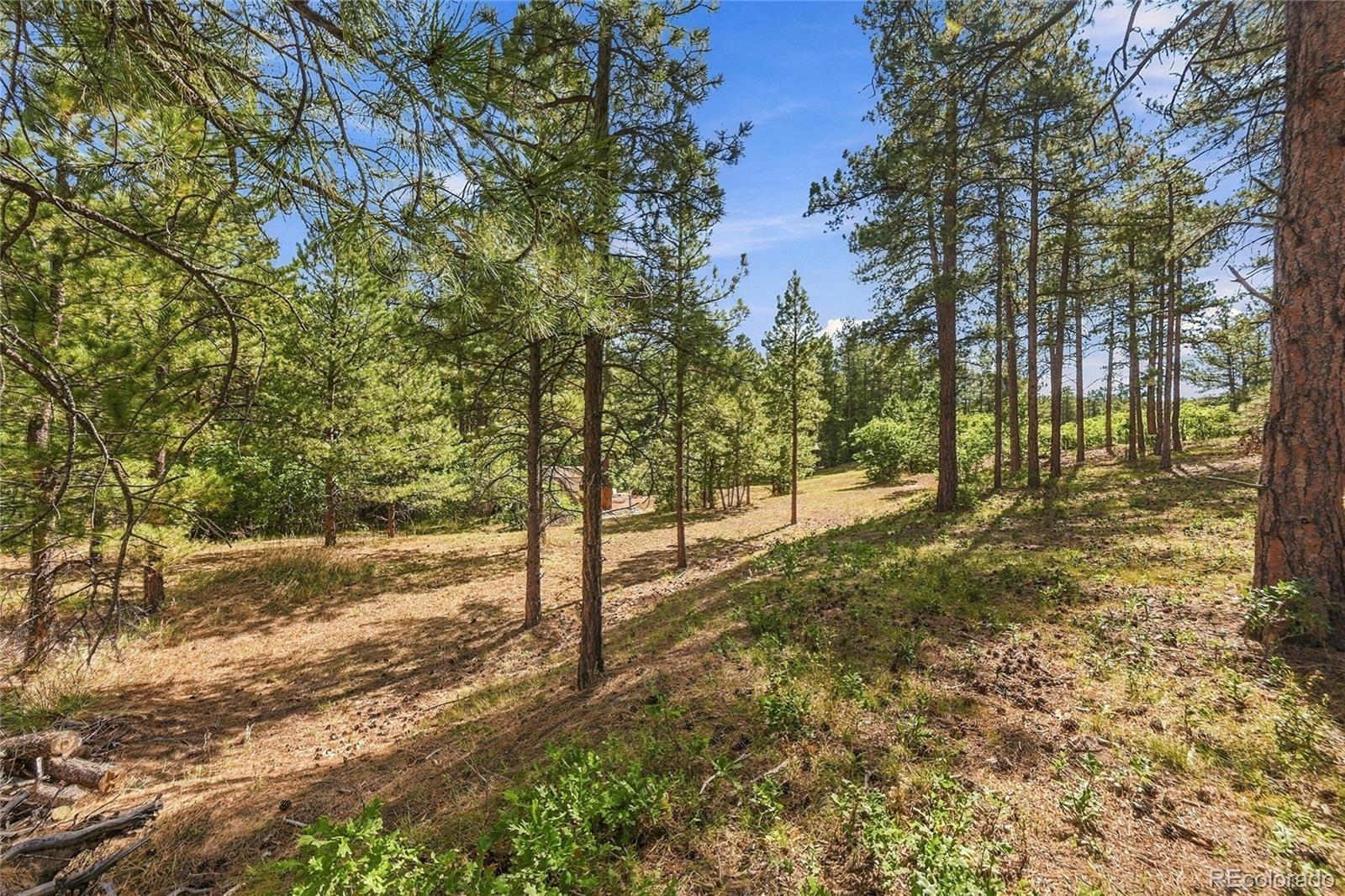 MLS #REC3604350 image #14
