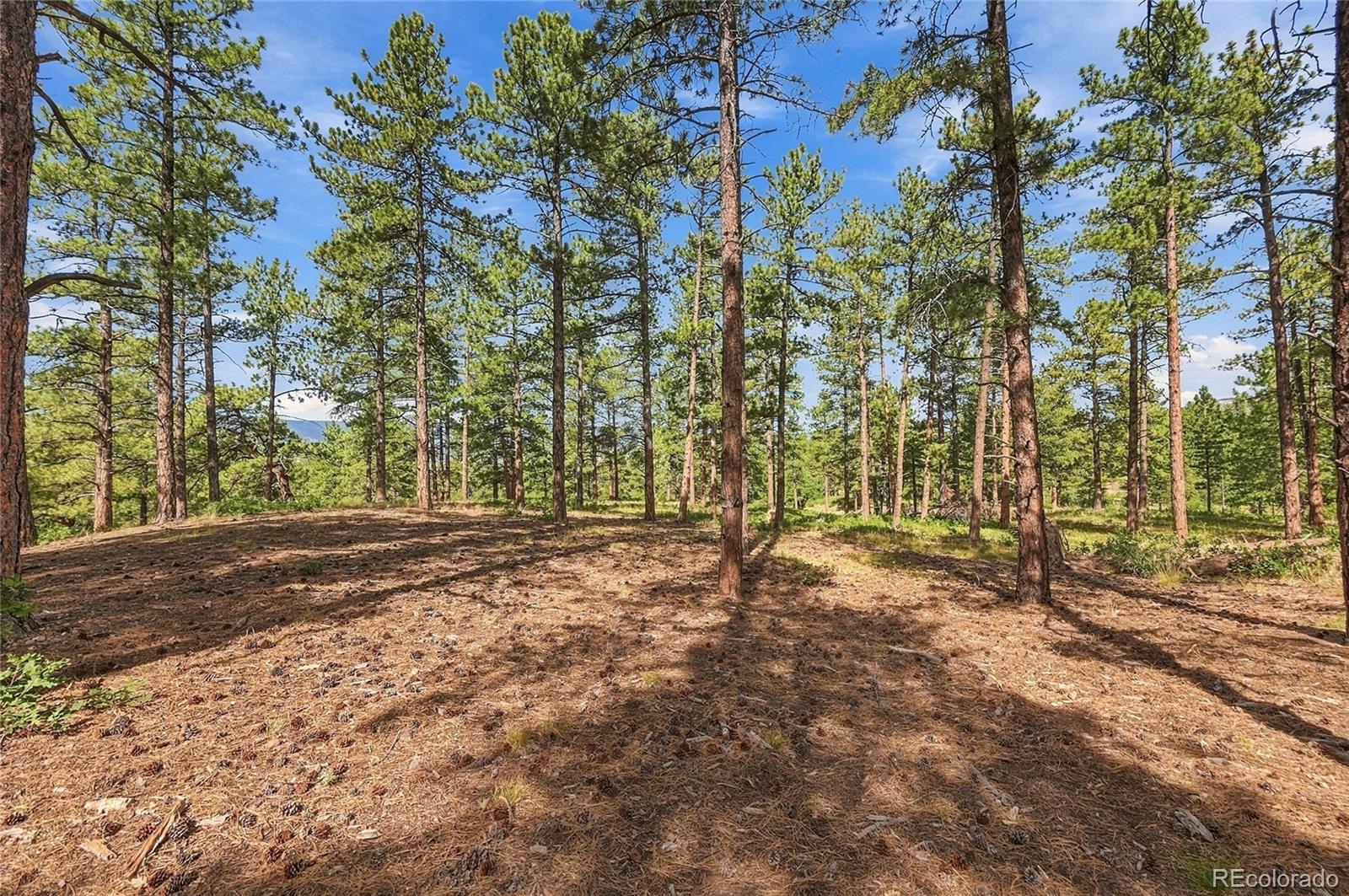 MLS #REC3604350 image #15
