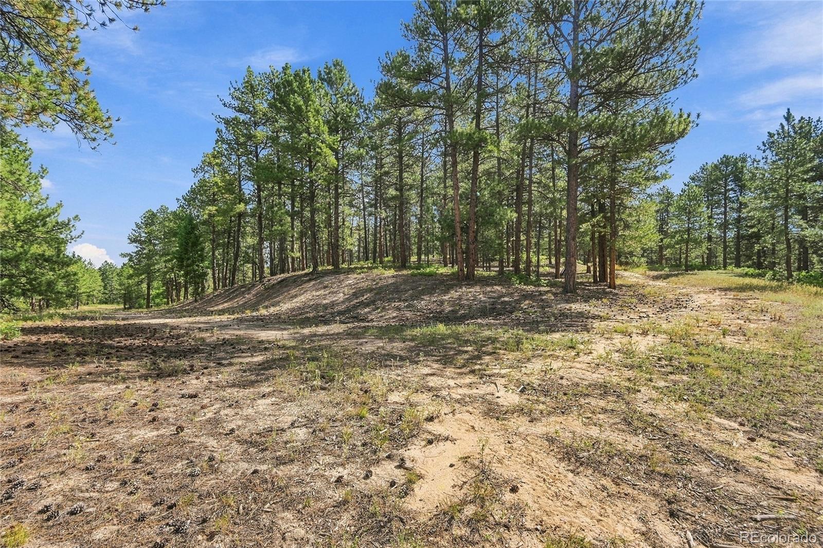 MLS #REC3604350 image #16