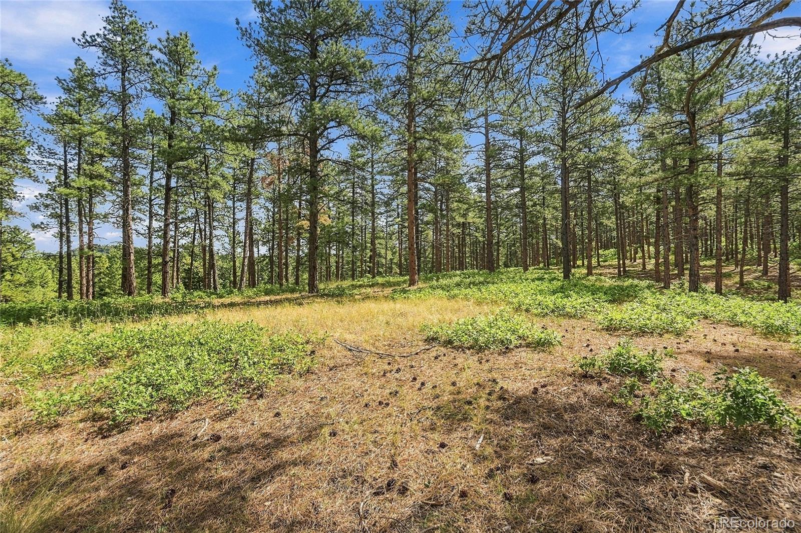 MLS #REC3604350 image #17