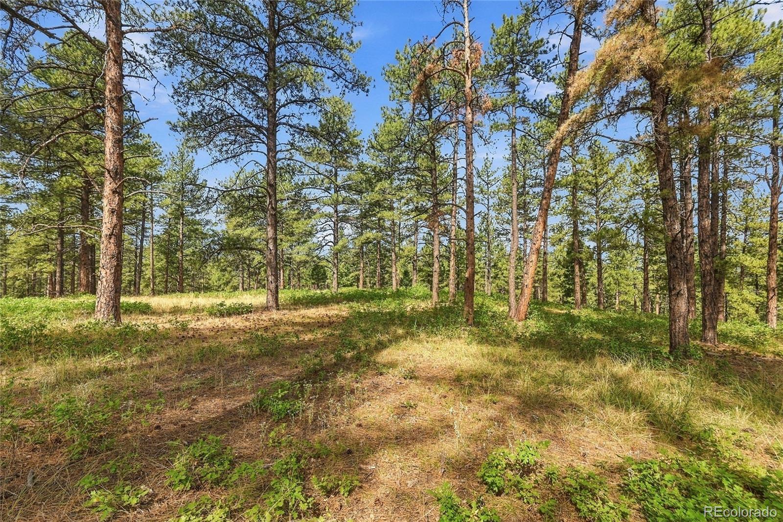 MLS #REC3604350 image #19