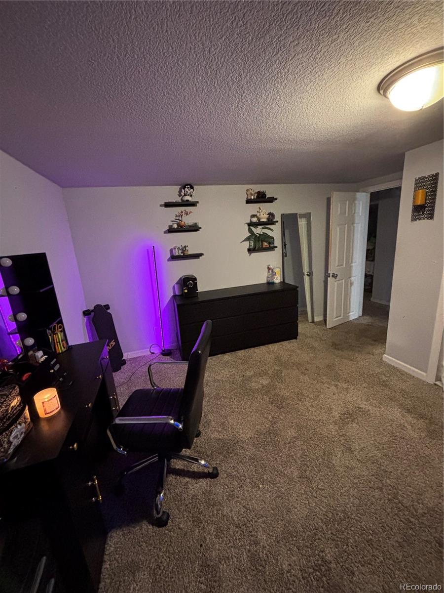 2704 S Zurich Court Denver CO 80236 MLS #REC3828823 Image 28