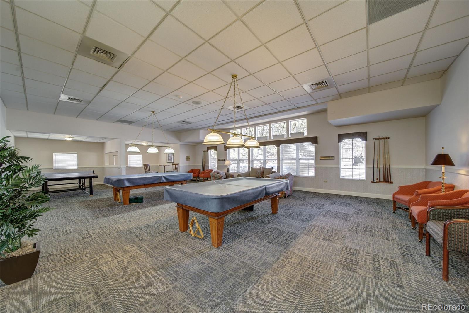 MLS #REC3880076 image #41