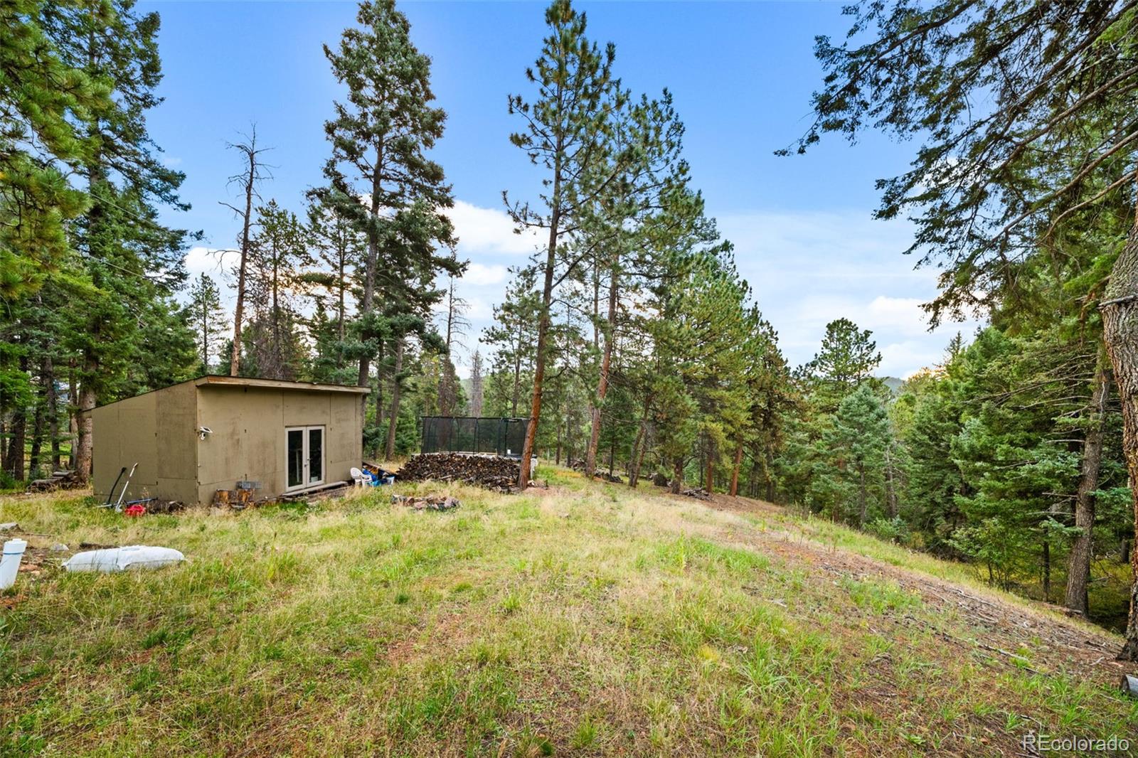 MLS #REC4104800 image #38
