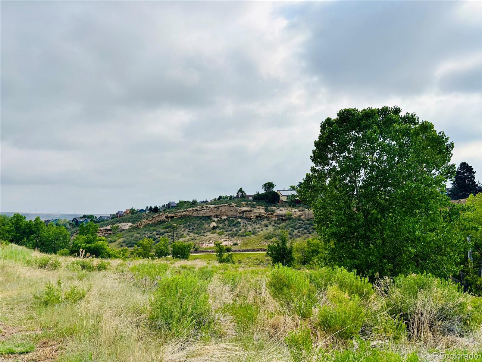 MLS #REC4690756 image #44