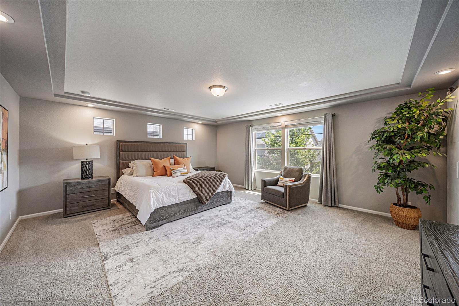 MLS #REC4776776 image #17