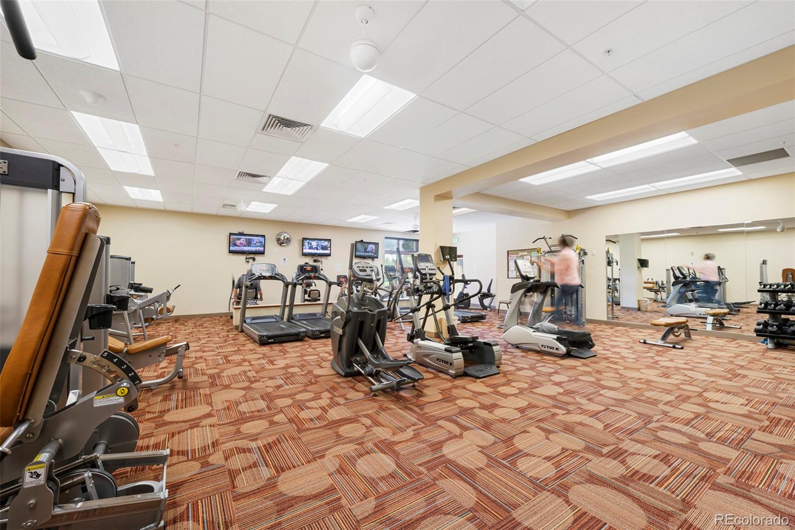 MLS #REC4993705 image #44